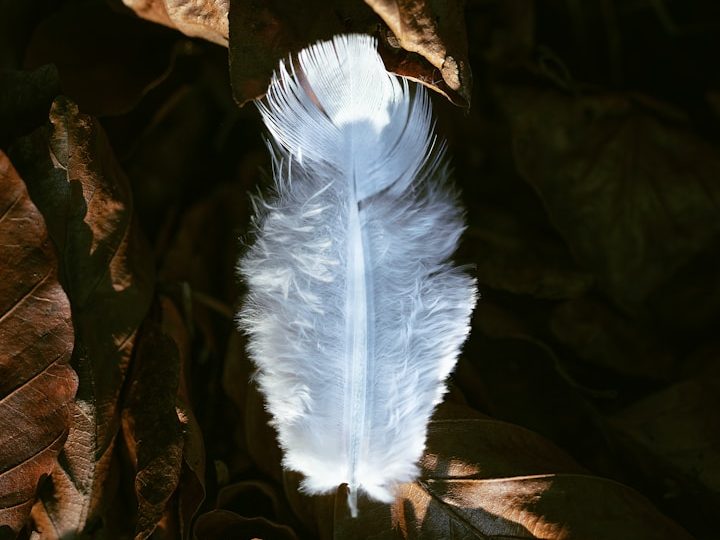 Schamanische Rückführung