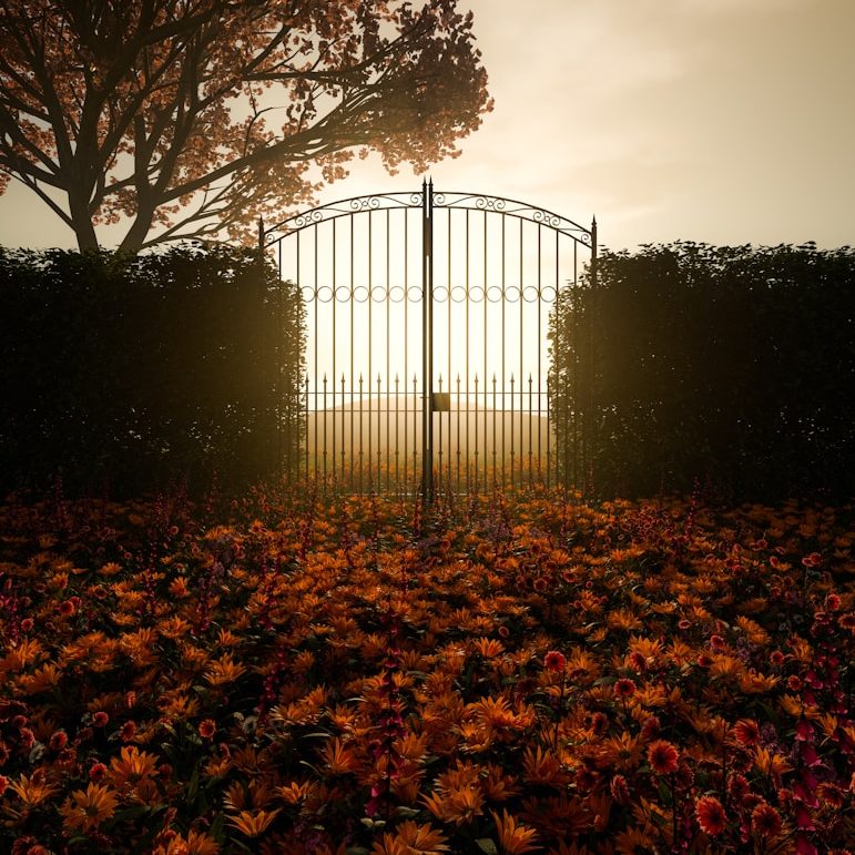 Rückführung in ein früheres Leben. Ein langen Pfad in der Vergangenheit