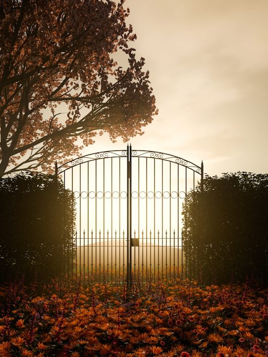 Rückführung in frühere Leben